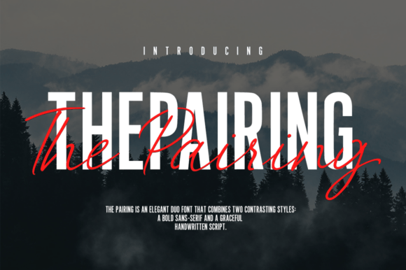 How The Pairing Typeface Elevates Small Business Branding
