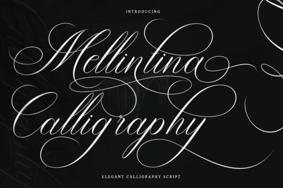 Melintina Calligraphy Typeface: A Brand Designer’s Perspective